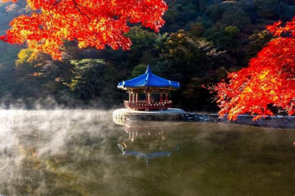 【韩国旅游】韩国以秋天的枫叶而闻名的地方井邑内藏山